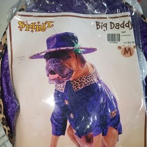 Dog costume